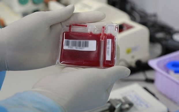 National hematology institute expands stem cell collection services hinh anh 1