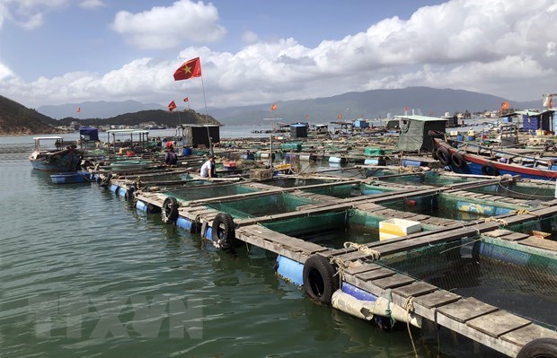 Vietnam issues national plan on aquaculture development for 2021-2030 hinh anh 2