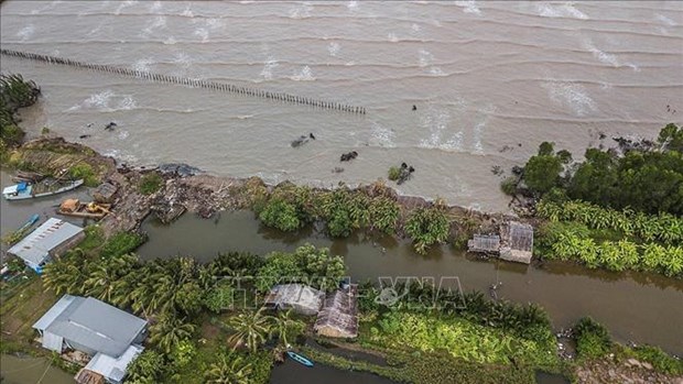 Project helps strengthen Mekong Delta’s resilience against climate change hinh anh 1