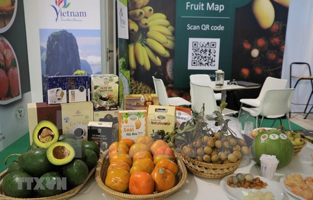 Vietnam seeks keys to unlock high value fruit markets hinh anh 1