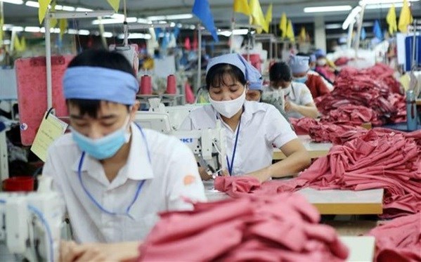 Domestic firms show strong capacity in making use of CPTPP hinh anh 1