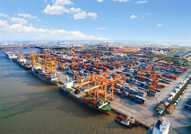 Project to develop international merchant fleet in the pipeline hinh anh 2