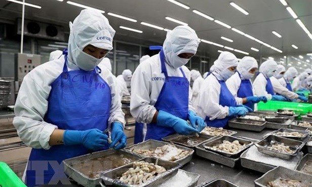 Vietnam moves to strongly integrate into int’l labour market hinh anh 1