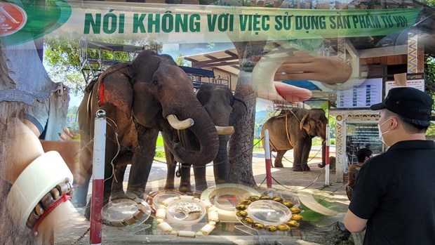 Conservationists hope management offices move on elephant conservation hinh anh 2