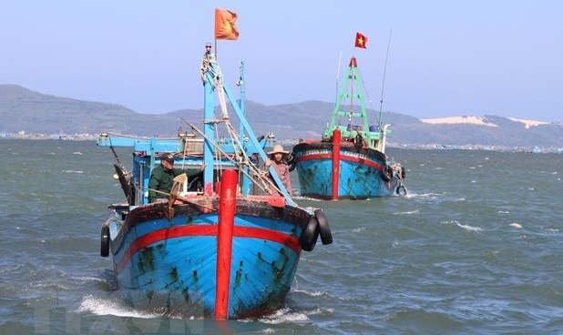 Vietnam maintains efforts to fight IUU fishing hinh anh 1