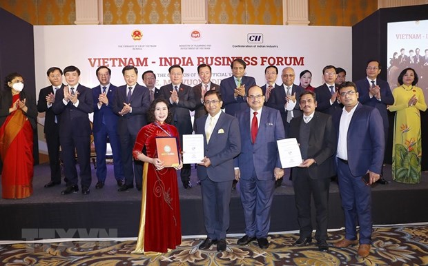 Vietnam, India hold great potential for supply chain cooperation: Analysts hinh anh 1