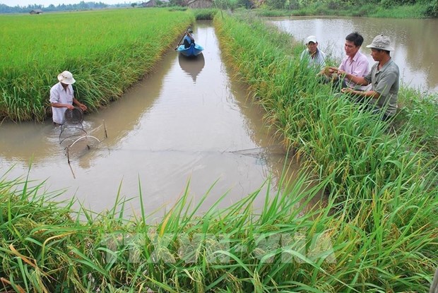 Agriculture sector works to deliver on COP26 commitments hinh anh 2