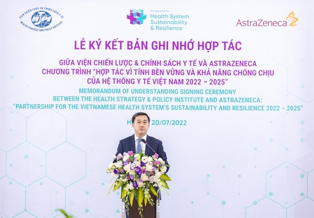 Domestic healthcare system needs comprehensive evaluation: official hinh anh 2
