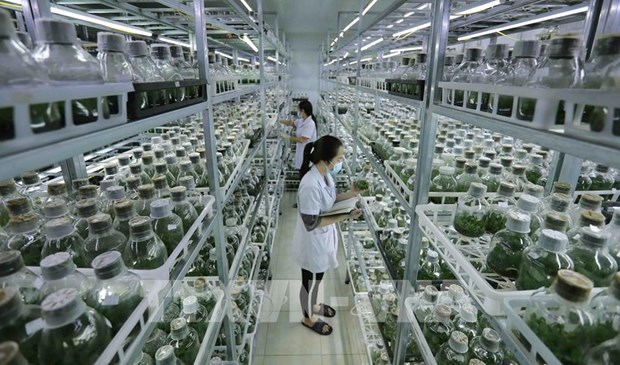 Vietnam moves to boost green agriculture hinh anh 1