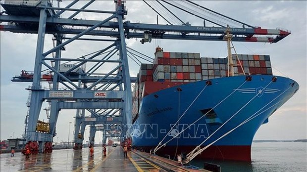 Vietnamese merchant fleet to handle 20% of imports & exports by 2030 hinh anh 1