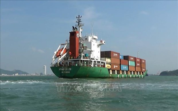 Vietnamese merchant fleet to handle 20% of imports & exports by 2030 hinh anh 2
