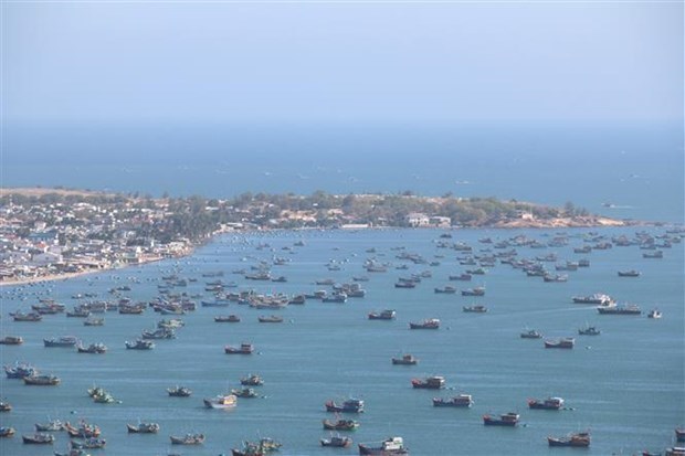 Visit Vietnam Year 2023 promotes green tourism hinh anh 2