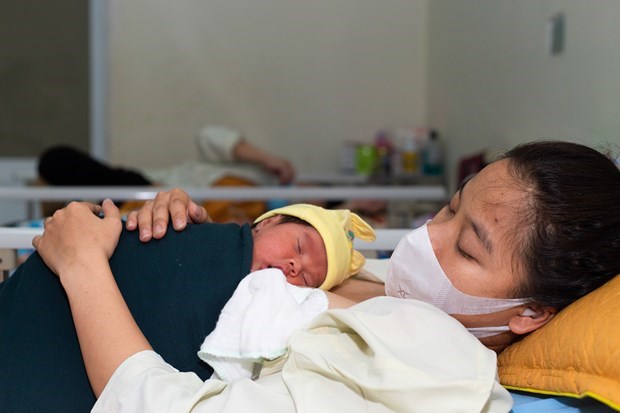 Cambodia, Laos, Vietnam cooperate to promote breastfeeding hinh anh 1