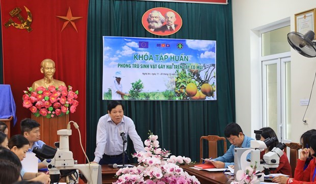 EU helps Vietnam improve safety of agricultural exports hinh anh 1