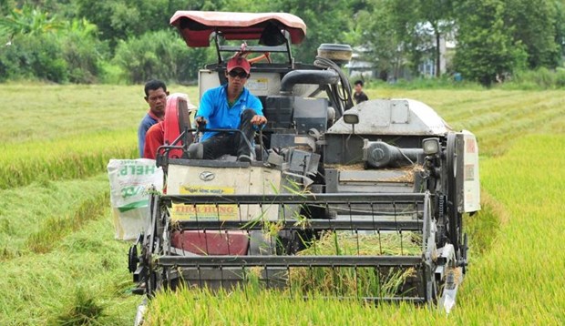 Over 7 million EUR to aid delta farmers’ green production hinh anh 1