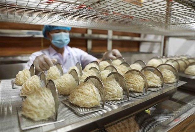 Efforts to export bird’s nests to China via official channels hinh anh 2