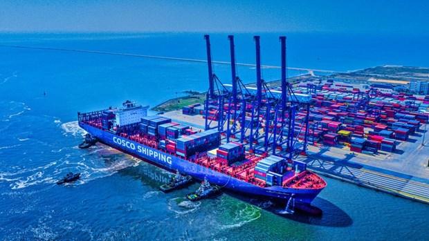 Vietnam moves to develop merchant cargo fleet hinh anh 1