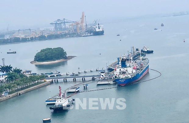 Vietnam moves to develop merchant cargo fleet hinh anh 2