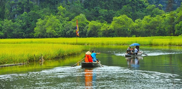 Tourism sector forecast to bounce back to pre-pandemic levels hinh anh 1