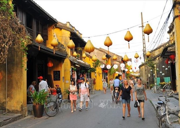 Tourism sector forecast to bounce back to pre-pandemic levels hinh anh 2