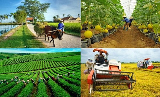 New mindset for Vietnam’s agriculture economy hinh anh 2
