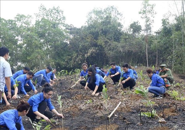 Joint efforts made to plant 1 billion trees by 2025 hinh anh 2