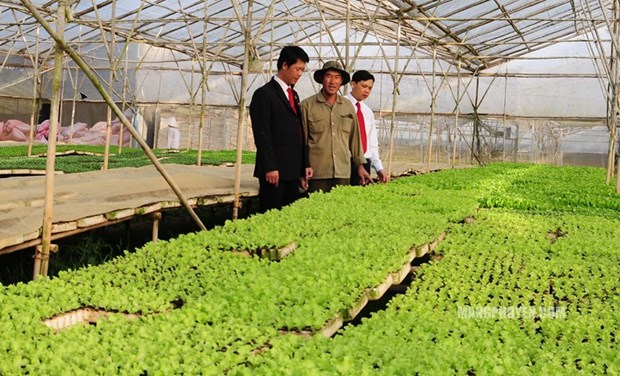 Agribank invests in hi-tech agriculture hinh anh 3