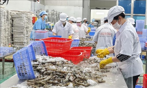 Significant efforts needed to realise 4.3-billion-USD shrimp exports hinh anh 1