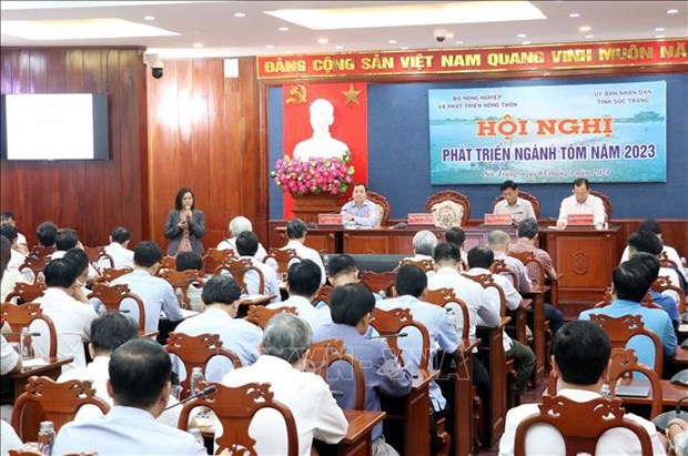 Significant efforts needed to realise 4.3-billion-USD shrimp exports hinh anh 2