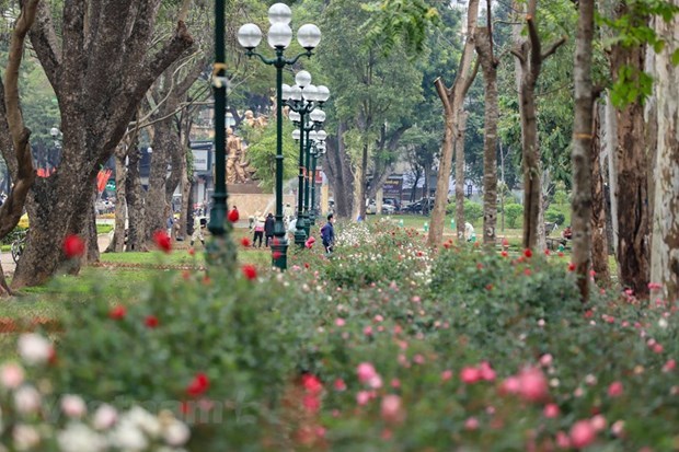 Hanoi deals with shortage of public recreational spaces hinh anh 1