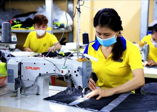 Garment sector must go green to ensure sustainable development hinh anh 2