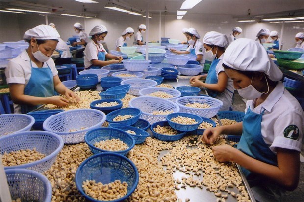 Ho Chi Minh City’s food processing sector seeks sustainable growth hinh anh 1