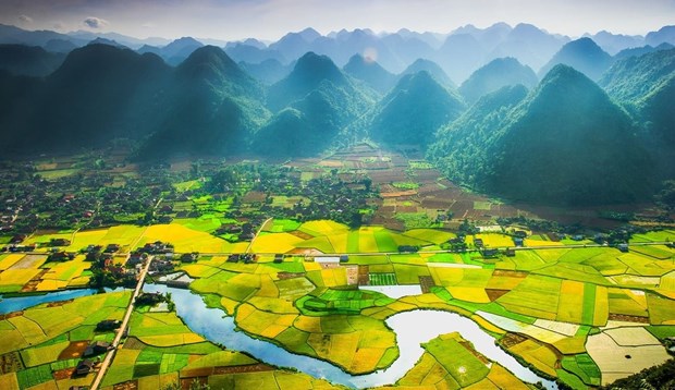 Over 1.2 million hectares of land remain unused in Vietnam hinh anh 1