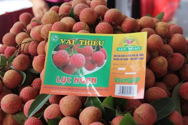 Bac Giang to export lychee via Kep railway station hinh anh 1