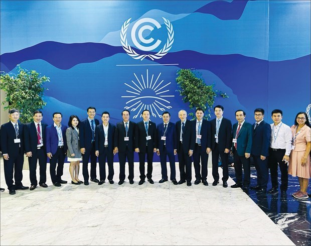 Vietnam makes substantive contributions to fight against climate change: official hinh anh 3