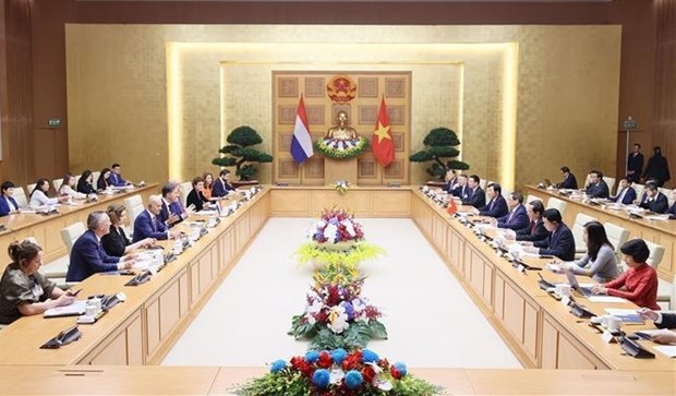 Vietnamese, Dutch PMs hold talks hinh anh 1