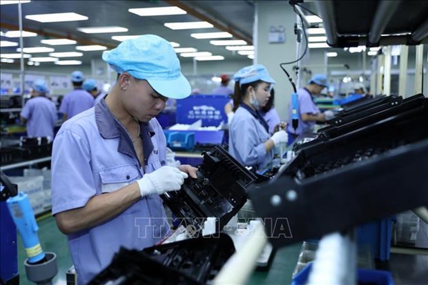 Hai Phong ensures high-quality human resources for businesses hinh anh 1