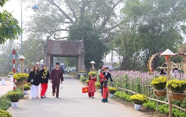 Experiencing Vietnamese Tet in Duong Lam Ancient Village hinh anh 2