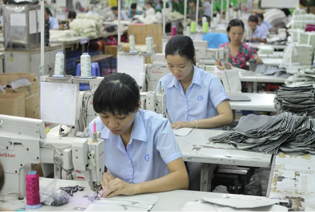 Vietnamese female entrepreneurs network most effective in ASEAN: MPI official hinh anh 3