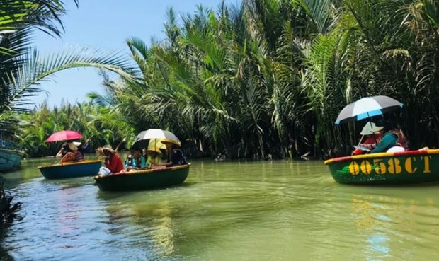 Hoi An sees revival of traditional bamboo-coconut huts hinh anh 2