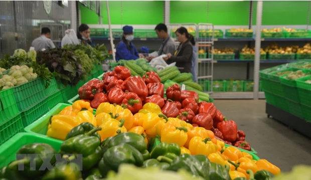 Businesses tap opportunities to maintain fruit, vegetable exports hinh anh 1