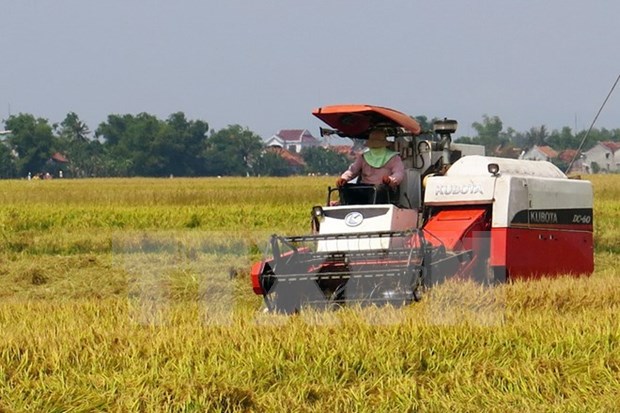 OECD hails Vietnam’s impressive agricultural reform hinh anh 1