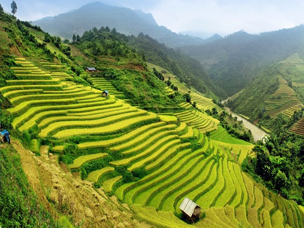 Vietnam among 20 best countries to visit hinh anh 1