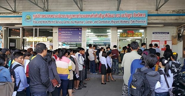 Thailand officially receives Vietnamese workers hinh anh 1