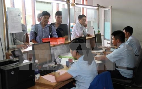 Customs sector to continue reform hinh anh 1