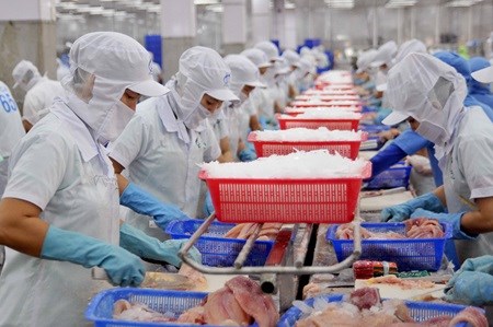 Fishery and farm exporters urged to study EU regulations hinh anh 1