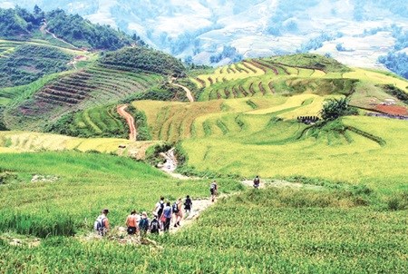 Lao Cai province braces for ‘tourism year' hinh anh 1
