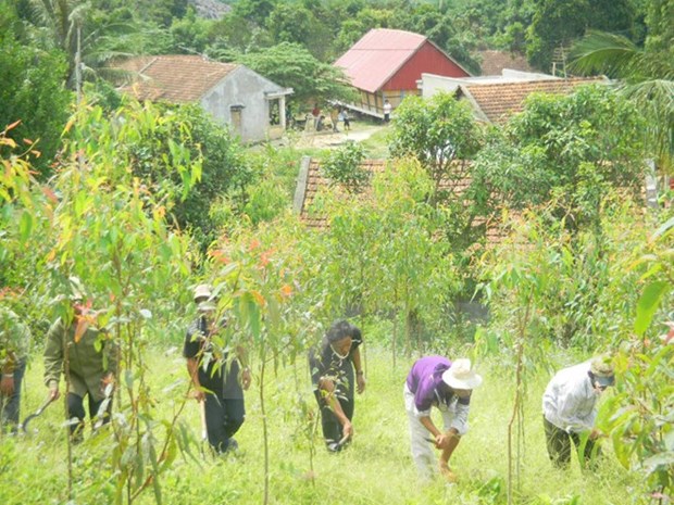 Trees planted to green up Hanoi-Lao Cai highway hinh anh 1