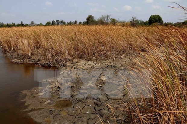 Vietnam seeks Netherlands’ help in preserving water in Mekong Delta hinh anh 1