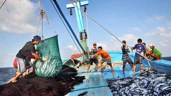 Cambodia hopes to yield over 1.2 million tonnes of fish by 2019 hinh anh 1